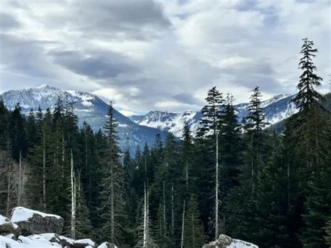 10 Best Snowshoeing Trails In Snoqualmie Pass Alltrails