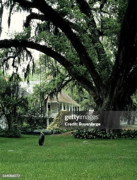 Parlange Plantation New Roads Louisiana News Photo Getty Images