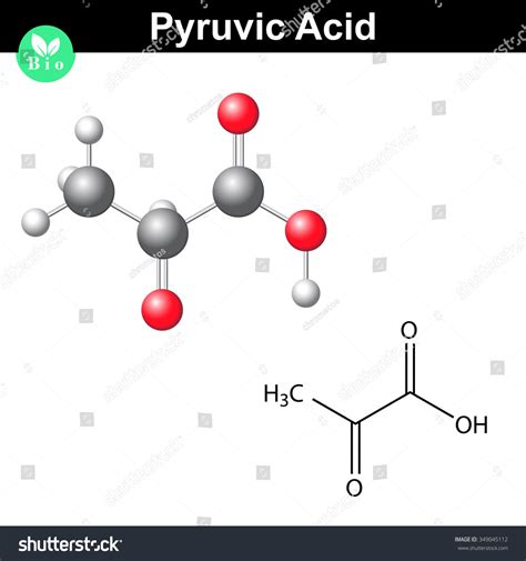 Pyruvic Acid Molecule Pyruvate Structural Chemical Stock Illustration 349045112 | Shutterstock