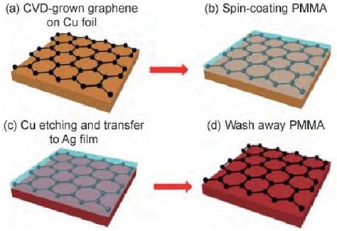 Schematic illustration of the process flow of graphene coating on a Ag... | Download Scientific ...