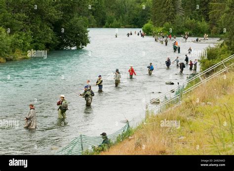 Combat Fishing On The Russian Kenai River During The Sockeye Salmon Run