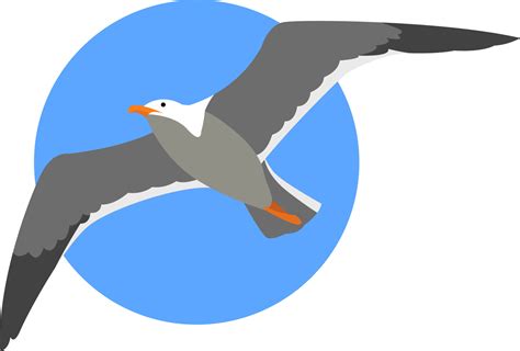 Seagull Flying Illustration Vector On White Background 13470227