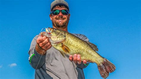 Why You Should Use a Topwater Popper for Fall Bass Fishing - Wired2Fish.com