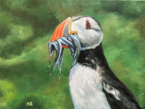 Puffin Painting By Monique Van Reek Fine Art America