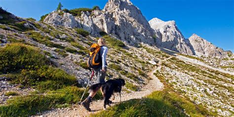 Wandern Mit Hund Tipps F R Das Outdoor Abenteuer Beatyesterday