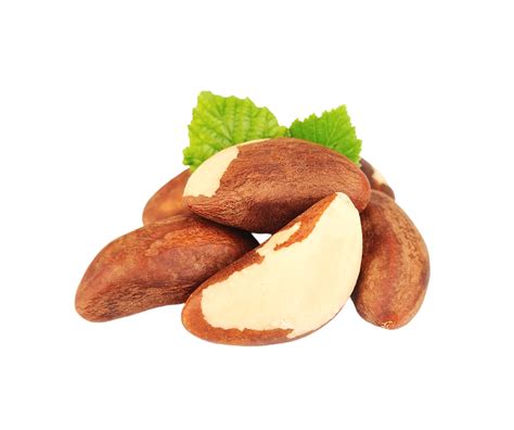 Brazil Nuts Png 29127901 PNG