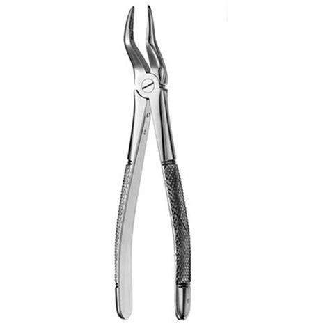 Hf Fx Forceps European Style Serrated Upper Roots Henry