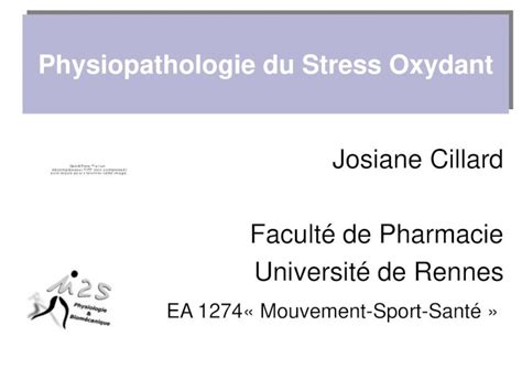 Pdf Physiopathologie Du Stress Oxydantles Acteurs Du Stress Oxydant