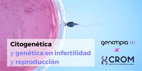 “citogenética Y Genética En Infertilidad Y Reproducción” Nuevo Curso