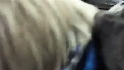 Sex I Campingvognen Danish Blowjob Porn XHamster