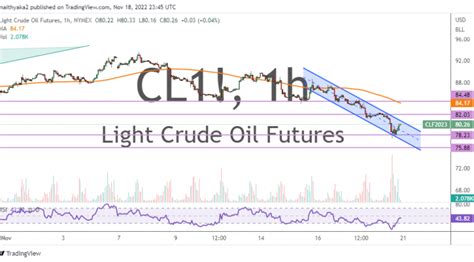 WTI Crude Oil Bounces Off Trendline Support To Trade Above 80