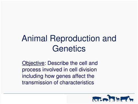 PPT - Animal Reproduction and Genetics PowerPoint Presentation, free ...