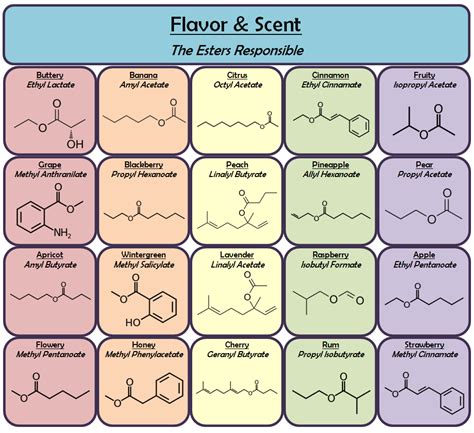 Ester Examples