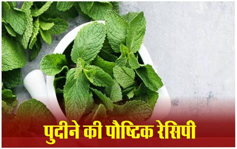 Summer Pudina Recipe से गर्मियों में शरीर को दें ठंडक और ताजगी