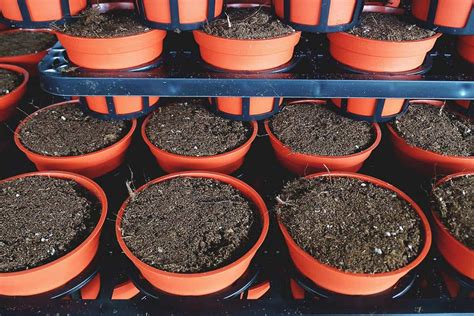 When And How To Use Humic Acid Fertilizer To Improve Soil