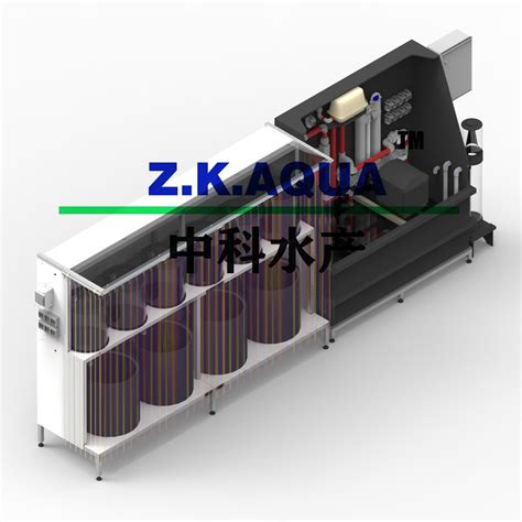 Tilapia Salmon Ras Hatchery System Automatic Egg Incubator Tilapia