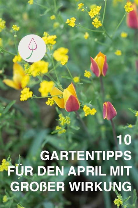 Gartenarbeit Im April Das Ist Jetzt Im Garten Zu Tun Gartenarbeit