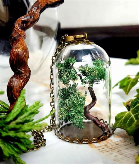 Художница из Ирландии создает миниатюрные деревья, которые заменят ...