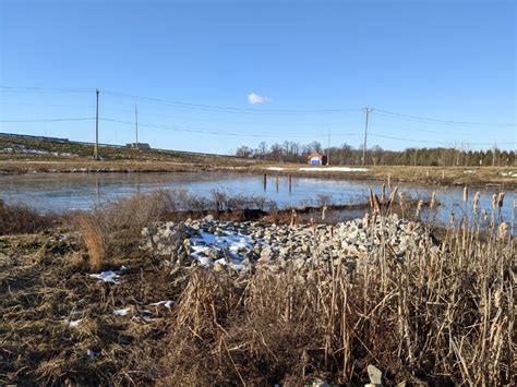 Установлено, что дорожная соль круглогодично воздействует на грунтовые ...