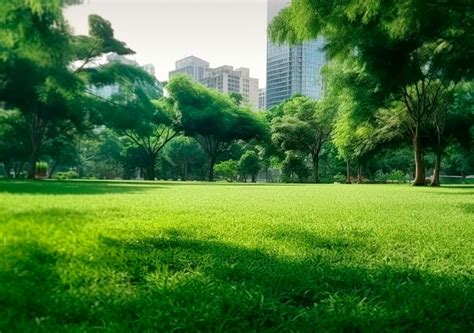 Vivir Cerca De Espacios Verdes Puede Hacernos M S J Venes