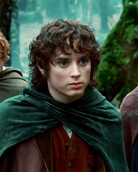 Frodo Lord Of The Rings HD In 2023 Lord Of The Rings Frodo Baggins