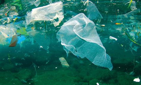 El Da O De Las Bolsas De Pl Stico Al Medio Ambiente