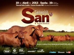 Leilão Senepol da San e Convidados Expogrande 2013 Fazenda San Francisco