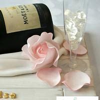 Bottle Of Moet Decorated Cake By Louise Jackson Cake CakesDecor