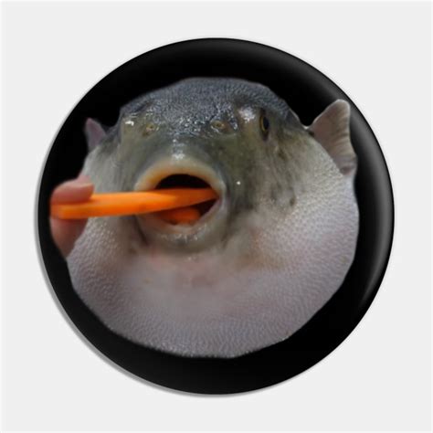 Pufferfish Eating Carrot Dank Meme Pufferfish Eating Carrot Pin