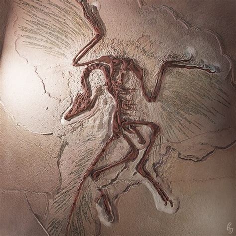 Archaeopteryx Fossil - It took 150 million years to render - Finished Projects - Blender Artists ...