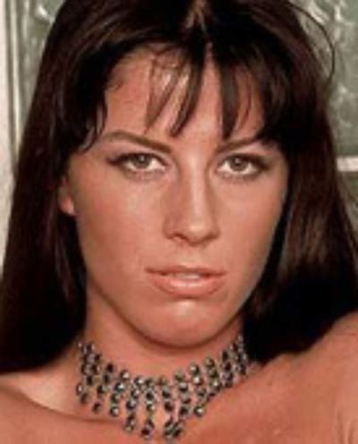 Logan Labrent Model Page XVIDEOS