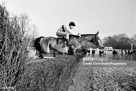 66 Arkle Racehorse Stock Photos, High-Res Pictures, and Images - Getty ...