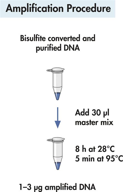 Epitect Whole Bisulfitome Kit