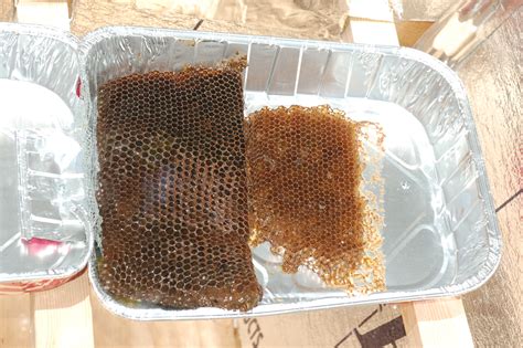 September 2016 Buck Naked Farm