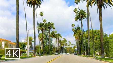 4K Palm Tree Lined Streets In Beverly Hills Beverly Dr YouTube