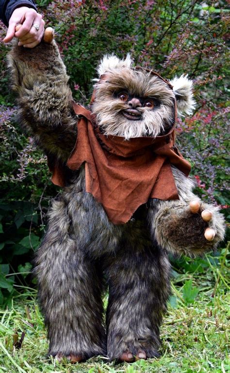 Ewok Ewok Cute Fantasy Creatures Star Wars Characters