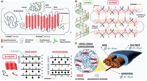 Silk Fibroin As Sustainable Advanced Material Material Properties And