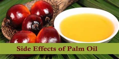 Side Effects of Palm Oil - Assignment Point