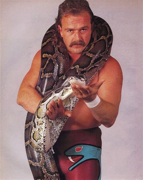 Wrestling Redux Wcw Jake The Snake Roberts Part