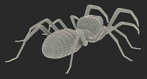 Spiders 3d Models Collection 3d Modell 209 3ds C4d Fbx Ma Obj