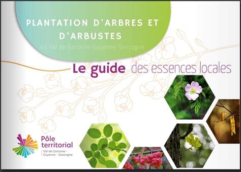 Un Guide Des Essences Locales Pour Sadapter Aux Nouvelles Conditions