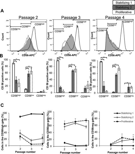 A Hcecs Cultured With A Stabilizing Low Mitogen Media Step Expressed