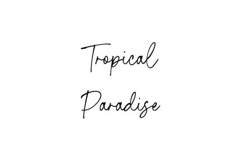 Tropical Paradise Font Free Font Download