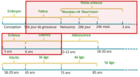 Psy Psychologie Du D Veloppement Introduction Sur L Tude Du