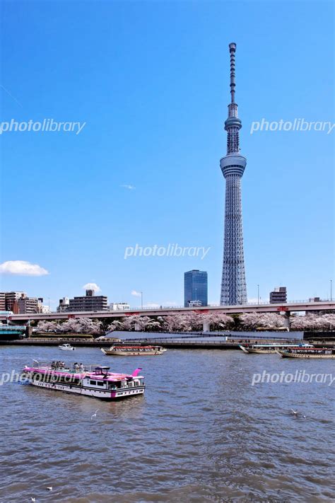 隅田川の満開の桜並木と屋形船と東京スカイツリー 写真素材 1942410 フォトライブラリー Photolibrary