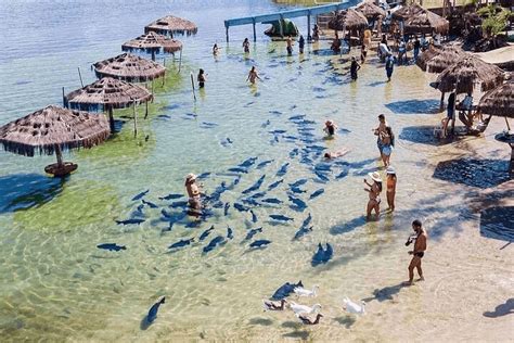 O Que Fazer Em Est Ncia Para So Sergipano Turismo De Natureza