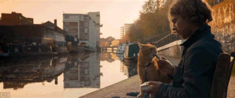A Street Cat Named Bob: Book vs Film