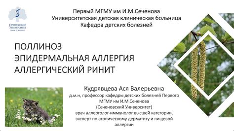 Поллиноз и эпидермальная аллергия, проблема аллергического ринита - YouTube