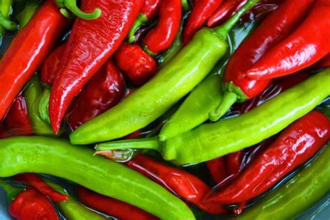 Study People Who Eat Chili Peppers May Live Longer Positive