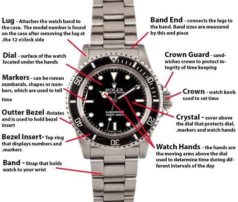 Rolex Submariner Guide Shop | bellvalefarms.com